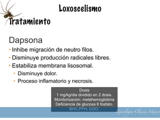 Loxoscelismo
Tratamiento
•Oxigeno hiperbárico
• Indicación: loxoscelismo cutaneo, máximo 6 horas
posterior a la mordedura
• Limita la adherencia de los PMN a las paredes
vasculares
• Estimula la neo vascularización
• No hay estudios concluyentes.
18
Toxicología Clínica México
 