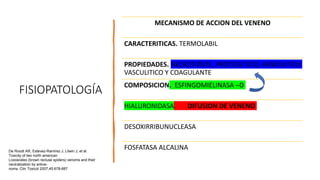 FISIOPATOLOGÍA
MECANISMO DE ACCION DEL VENENO
CARACTERITICAS. TERMOLABIL
PROPIEDADES. NECROTIZNTE, PROTEOLITICO, HEMOLITICO
VASCULITICO Y COAGULANTE
COMPOSICION. ESFINGOMIELINASA –D
HIALURONIDASA. DIFUSION DE VENENO
DESOXIRRIBUNUCLEASA
FOSFATASA ALCALINA
De Roodt AR, Estevez-Ramirez J, Litwin J, et al.
Toxicity of two north american
Loxosceles (brown recluse spiders) venoms and their
neutralization by antive-
noms. Clin Toxicol 2007;45:678-687
 