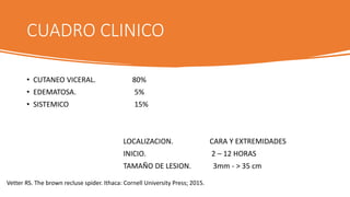CUADRO CLINICO
• CUTANEO VICERAL. 80%
• EDEMATOSA. 5%
• SISTEMICO 15%
LOCALIZACION. CARA Y EXTREMIDADES
INICIO. 2 – 12 HORAS
TAMAÑO DE LESION. 3mm - > 35 cm
Vetter RS. The brown recluse spider. Ithaca: Cornell University Press; 2015.
 