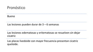 Pronóstico
Bueno
Las lesiones pueden durar de 3 – 6 semanas
Las lesiones edematosas y eritematosas se resuelven sin dejar
cicatriz
Las placas livedoide con mayor frecuencia presentan cicatriz
queloide.
 