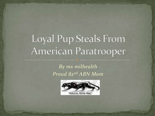 By ms milhealth Proud 82nd ABN Mom Loyal Pup Steals From American Paratrooper 