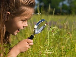 Be Curious
 