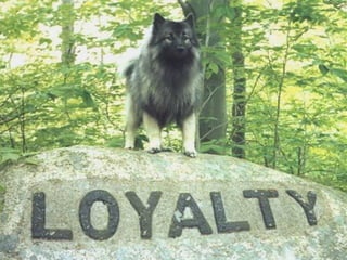 LOYALTY
 