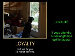 LOYAUTÉ
Il vous attendra
aussi longtemps
qu'il le faudra.
 
