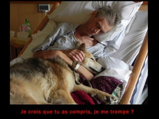 Je crois que tu as compris, je me trompe ?
 