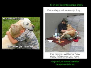 Si un jour tu perds quelque chose,
ce jour-là, tu sauras combien
de vrais amis tu as.
 