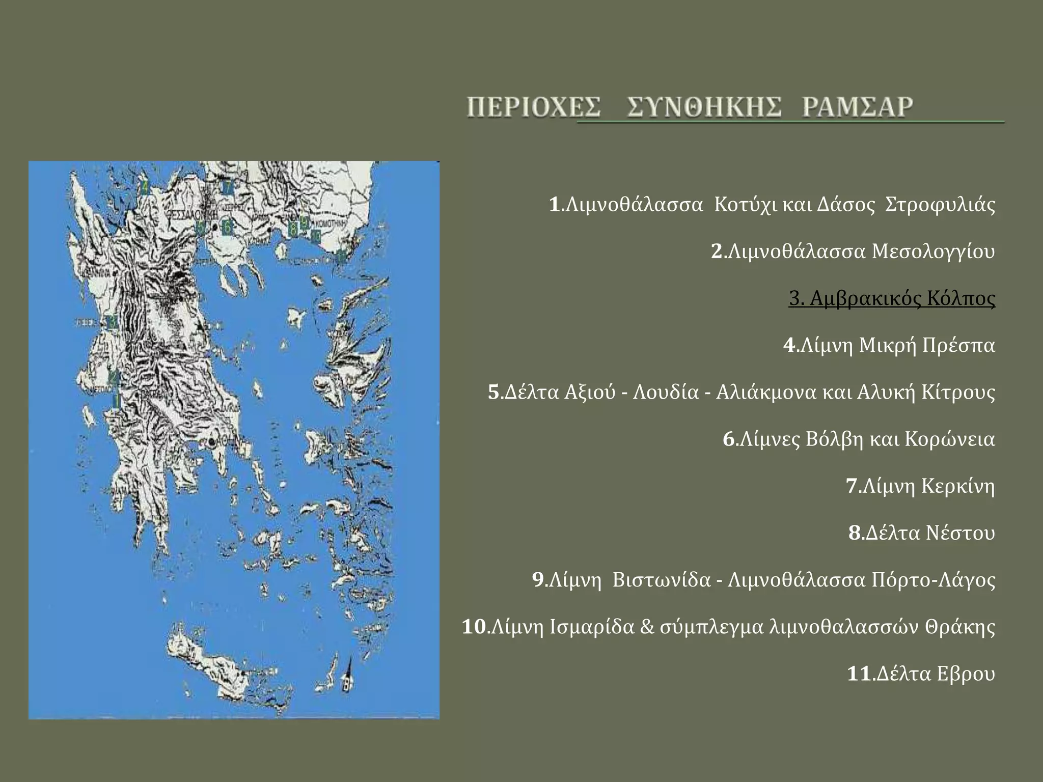 1.Λιμνοθάλασσα Κοτύχι και Δάσος Στροφυλιάς
2.Λιμνοθάλασσα Μεσολογγίου
3. Αμβρακικός Κόλπος
4.Λίμνη Μικρή Πρέσπα
5.Δέλτα Αξιού - Λουδία - Αλιάκμονα και Αλυκή Κίτρους
6.Λίμνες Βόλβη και Κορώνεια
7.Λίμνη Κερκίνη
8.Δέλτα Νέστου
9.Λίμνη Βιστωνίδα - Λιμνοθάλασσα Πόρτο-Λάγος
10.Λίμνη Ισμαρίδα & σύμπλεγμα λιμνοθαλασσών Θράκης
11.Δέλτα Εβρου
 