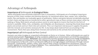 Advantage of Arthropods
Importance of Arthropods in Ecological Roles
Many arthropods have extremely important roles in ecosystems. Arthropods are of ecological importance
because of their sheer numbers and extreme diversity. As mentioned above, bees, wasps, ants, butterflies,
moths, flies and beetles are invaluable agents of pollination. Pollens and grains became accidentally attached
to their chests and legs and are transferred to other agricultural crops as these animals move about, either by
walking or flying. Most plants actually produce scents to send signals to insects that food (in the form of
nectar) is available. Mites, ticks, centipedes, and millipedes are decomposers, meaning they break down dead
plants and animals and turn them into soil nutrients. This is an important role because it supplies the plants
with the minerals and nutrients necessary for life. It also keeps dead material from accumulating in the
environment. Plants then pass along those minerals and nutrients to the animals that eat the plants.
Importance's of Arthropods in Pest Control
Humans use mites to prey on unwanted arthropods on farms or in homes. Other arthropods are used to
control weed growth. Populations of whip scorpions added to an environment can limit the populations
of cockroaches and crickets. Millipedes also control the harmful growth of destructive fungi and bacteria.
When the numbers of millipedes is low, the imbalance between predator and prey can cause harmful
microorganisms to flourish, and it can became difficult to manage plagues and diseases through natural
processes. Cockroaches, spiders, mites, ticks and all other insects considered as carnivorous, prey on
smaller species to maintain ecological balance. Thus, communities that have a good balance of these
arthropods tend to have better pest control.
 