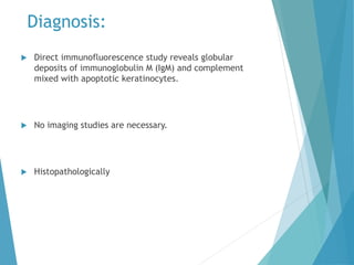 Diagnosis:
 Direct immunofluorescence study reveals globular
deposits of immunoglobulin M (IgM) and complement
mixed with apoptotic keratinocytes.
 No imaging studies are necessary.
 Histopathologically
 