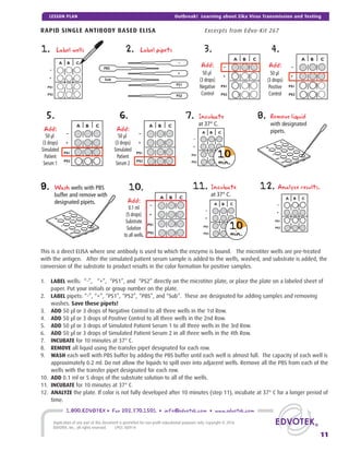 This is a direct ELISA where one antibody is used to which the enzyme is bound. The microtiter wells are pre-treated
with the antigen. After the simulated patient serum sample is added to the wells, washed, and substrate is added, the
conversion of the substrate to product results in the color formation for positive samples.
1. LABEL wells: “-”, “+”, “PS1”, and “PS2” directly on the microtiter plate, or place the plate on a labeled sheet of
paper. Put your initials or group number on the plate.
2. LABEL pipets: “-”, “+”, “PS1”, “PS2”, “PBS”, and “Sub”. These are designated for adding samples and removing
washes. Save these pipets!
3. ADD 50 μl or 3 drops of Negative Control to all three wells in the 1st Row.
4. ADD 50 μl or 3 drops of Positive Control to all three wells in the 2nd Row.
5. ADD 50 μl or 3 drops of Simulated Patient Serum 1 to all three wells in the 3rd Row.
6. ADD 50 μl or 3 drops of Simulated Patient Serum 2 in all three wells in the 4th Row.
7. INCUBATE for 10 minutes at 37° C.
8. REMOVE all liquid using the transfer pipet designated for each row.
9. WASH each well with PBS buffer by adding the PBS buffer until each well is almost full. The capacity of each well is
approximately 0.2 ml. Do not allow the liquids to spill over into adjacent wells. Remove all the PBS from each of the
wells with the transfer pipet designated for each row.
10. ADD 0.1 ml or 5 drops of the substrate solution to all of the wells.
11. INCUBATE for 10 minutes at 37° C.
12. ANALYZE the plate. If color is not fully developed after 10 minutes (step 11), incubate at 37° C for a longer period of
time.
RAPID SINGLE ANTIBODY BASED ELISA Excerpts from Edvo-Kit 267
+
–
PS1
PS2
PBS
Sub
1.
A B C
-
+
PS1
PS2
A B C
-
+
PS1
PS2
Label wells 2. 3.Label pipets
Add:
50 µl
(3 drops)
Negative
Control
A B C
-
+
PS1
PS2
4.
Add:
50 µl
(3 drops)
Positive
Control
A B C
-
+
PS1
PS2
5.
Add:
50 µl
(3 drops)
Simulated
Patient
Serum 1
A B C
-
+
PS1
PS2
6.
Add:
50 µl
(3 drops)
Simulated
Patient
Serum 2
A B C
-
+
PS1
PS2
10.
Add:
0.1 ml
(5 drops)
Substrate
Solution
to all wells.
A B C
-
+
PS1
PS2
7. Incubate
at 37° C.
8. Remove liquid
with designated
pipets.
10
min.
A B C
-
+
PS1
PS2
11. Incubate
at 37° C.
10
min.
A B C
-
+
PS1
PS2
12. Analyze results.
-
+
DS1
DS2
C
A
B
8. Wash wells with PBS
buffer and remove with
designated pipets.
-
+
DS1
DS2
C
A
B
9. Wash wells with PBS
buffer and remove with
designated pipets.
-
+
DS1
DS2
C
A
B
11
1.800.EDVOTEK • Fax 202.370.1501 • info@edvotek.com • www.edvotek.com
Duplication of any part of this document is permitted for non-proﬁt educational purposes only. Copyright © 2016
EDVOTEK, Inc., all rights reserved. LP03.160914
Outbreak! Learning about Zika Virus Transmission and TestingLESSON PLAN
 