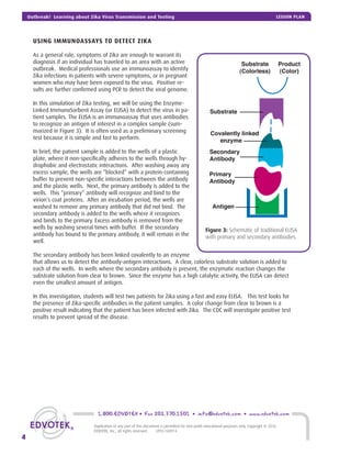 USING IMMUNOASSAYS TO DETECT ZIKA
As a general rule, symptoms of Zika are enough to warrant its
diagnosis if an individual has traveled to an area with an active
outbreak. Medical professionals use an immunoassay to identify
Zika infections in patients with severe symptoms, or in pregnant
women who may have been exposed to the virus. Positive re-
sults are further conﬁrmed using PCR to detect the viral genome.
In this simulation of Zika testing, we will be using the Enzyme-
Linked ImmunoSorbent Assay (or ELISA) to detect the virus in pa-
tient samples. The ELISA is an immunoassay that uses antibodies
to recognize an antigen of interest in a complex sample (sum-
marized in Figure 3). It is often used as a preliminary screening
test because it is simple and fast to perform.
In brief, the patient sample is added to the wells of a plastic
plate, where it non-speciﬁcally adheres to the wells through hy-
drophobic and electrostatic interactions. After washing away any
excess sample, the wells are “blocked” with a protein-containing
buffer to prevent non-speciﬁc interactions between the antibody
and the plastic wells. Next, the primary antibody is added to the
wells. This “primary” antibody will recognize and bind to the
virion’s coat proteins. After an incubation period, the wells are
washed to remove any primary antibody that did not bind. The
secondary antibody is added to the wells where it recognizes
and binds to the primary. Excess antibody is removed from the
wells by washing several times with buffer. If the secondary
antibody has bound to the primary antibody, it will remain in the
well.
The secondary antibody has been linked covalently to an enzyme
that allows us to detect the antibody-antigen interactions. A clear, colorless substrate solution is added to
each of the wells. In wells where the secondary antibody is present, the enzymatic reaction changes the
substrate solution from clear to brown. Since the enzyme has a high catalytic activity, the ELISA can detect
even the smallest amount of antigen.
In this investigation, students will test two patients for Zika using a fast and easy ELISA. This test looks for
the presence of Zika-speciﬁc antibodies in the patient samples. A color change from clear to brown is a
positive result indicating that the patient has been infected with Zika. The CDC will investigate positive test
results to prevent spread of the disease.
Figure 3: Schematic of traditional ELISA
with primary and secondary antibodies.
Antigen
Primary
Antibody
Secondary
Antibody
Substrate
Product
(Color)
Substrate
(Colorless)
Covalently linked
enzyme
1.800.EDVOTEK • Fax 202.370.1501 • info@edvotek.com • www.edvotek.com
4
Duplication of any part of this document is permitted for non-proﬁt educational purposes only. Copyright © 2016
EDVOTEK, Inc., all rights reserved. LP03.160914
Outbreak! Learning about Zika Virus Transmission and Testing LESSON PLAN
 