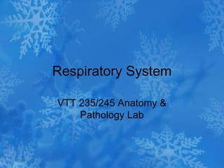 Respiratory System

VTT 235/245 Anatomy &
    Pathology Lab
 