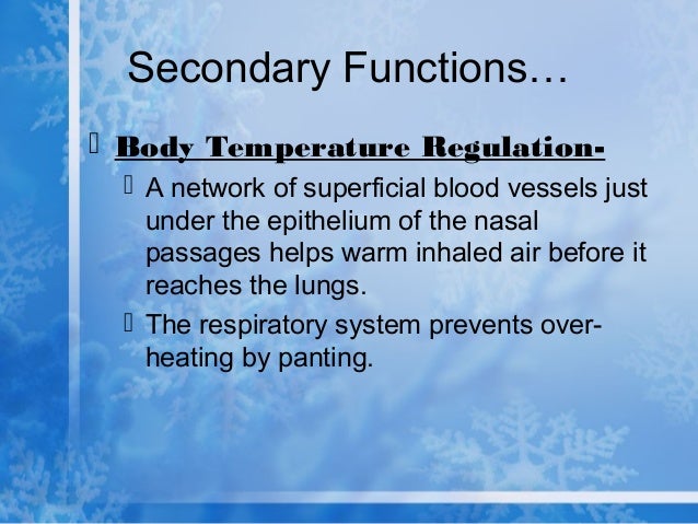 when the airway passages reacts Anaphylaxis is an extreme form of allergic reaction about 20 people a year die in the uk due to anaphylactic reactions in about half of these cases, there is no known cause (idiopathic anaphylaxis) a swollen tongue from angio-oedema can block the airway people with anaphylaxis are nursed lying flat sometimes a tube is needed to. when the airway passages reacts Anaphylaxis is an extreme form of allergic reaction about 20 people a year die in the uk due to anaphylactic reactions in about half of these cases, there is no known cause (idiopathic anaphylaxis) a swollen tongue from angio-oedema can block the airway people with anaphylaxis are nursed lying flat sometimes a tube is needed to.