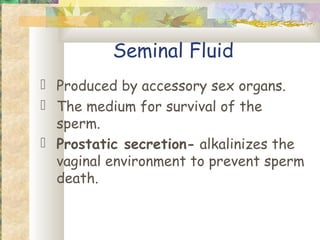 Seminal Fluid
 Produced by accessory sex organs.
 The medium for survival of the
  sperm.
 Prostatic secretion- alkalinizes the
  vaginal environment to prevent sperm
  death.
 