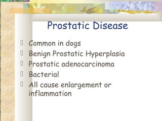 Prostatic Disease
   Common in dogs
   Benign Prostatic Hyperplasia
   Prostatic adenocarcinoma
   Bacterial
   All cause enlargement or
    inflammation
 