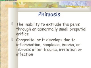 Phimosis
 The inability to extrude the penis
  through an abnormally small preputial
  orifice
 Congenital or it develops due to
  inflammation, neoplasia, edema, or
  fibrosis after trauma, irritation or
  infection
 