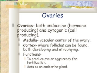 Ovaries
 Ovaries- both endocrine (hormone
  producing) and cytogenic (cell
  producing).
   Medulla- vascular center of the ovary.
   Cortex- where follicles can be found,
    both developing and atrophying.
   Functions-
      To produce ova or eggs ready for
       fertilization.
      Acts as an endocrine gland.
 
