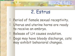2. Estrus
 Period of female sexual receptivity.
 Uterus and uterine horns are ready
  to receive an embryo.
 Release of LH causes ovulation.
 Dogs may have bloody discharge, cats
  may exhibit behavioral changes.
 