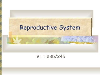 Reproductive System



     VTT 235/245
 