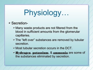 Physiology…
Secretion-
  Many waste products are not filtered from the
  blood in sufficient amounts from the glomerular
  capillaries.
  The “left over” substances are removed by tubular
  secretion.
  Most tubular secretion occurs in the DCT.
  Hydrogen, potassium, & ammonia are some of
  the substances eliminated by secretion.
 