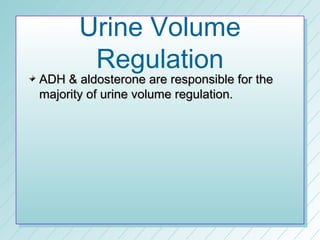 Urine Volume
       Regulation
ADH & aldosterone are responsible for the
majority of urine volume regulation.
 