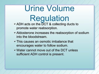 Urine Volume
      Regulation
ADH acts on the DCT & collecting ducts to
promote water reabsorption.
Aldosterone increases the reabsorption of sodium
into the bloodstream.
This causes an osmotic imbalance that
encourages water to follow sodium.
Water cannot move out of the DCT unless
sufficient ADH control is present.
 