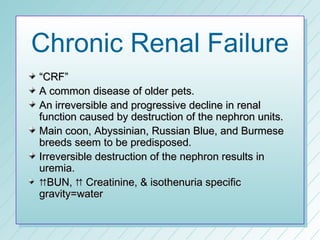 Chronic Renal Failure
“CRF”
A common disease of older pets.
An irreversible and progressive decline in renal
function caused by destruction of the nephron units.
Main coon, Abyssinian, Russian Blue, and Burmese
breeds seem to be predisposed.
Irreversible destruction of the nephron results in
uremia.
BUN,  Creatinine, & isothenuria specific
gravity=water
 