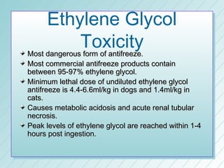 Ethylene Glycol
          Toxicity
Most dangerous form of antifreeze.
Most commercial antifreeze products contain
between 95-97% ethylene glycol.
Minimum lethal dose of undiluted ethylene glycol
antifreeze is 4.4-6.6ml/kg in dogs and 1.4ml/kg in
cats.
Causes metabolic acidosis and acute renal tubular
necrosis.
Peak levels of ethylene glycol are reached within 1-4
hours post ingestion.
 