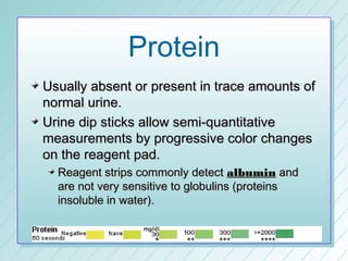 Protein
Usually absent or present in trace amounts of
normal urine.
Urine dip sticks allow semi-quantitative
measurements by progressive color changes
on the reagent pad.
  Reagent strips commonly detect albumin and
  are not very sensitive to globulins (proteins
  insoluble in water).
 