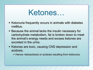 Ketones…
Ketonuria frequently occurs in animals with diabetes
mellitus.
Because the animal lacks the insulin necessary for
carbohydrate metabolism, fat is broken down to meet
the animal’s energy needs and excess ketones are
excreted in the urine.
Ketones are toxic, causing CNS depression and
acidosis.
  Hence- ketoacidosis or acidosis resulting from ketonuria.
 