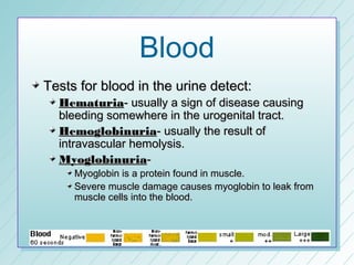 Blood
Tests for blood in the urine detect:
  Hematuria- usually a sign of disease causing
  bleeding somewhere in the urogenital tract.
  Hemoglobinuria- usually the result of
  intravascular hemolysis.
  Myoglobinuria-
     Myoglobin is a protein found in muscle.
     Severe muscle damage causes myoglobin to leak from
     muscle cells into the blood.
 