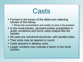Casts
Formed in the lumen of the distal and collecting
tubules of the kidney.
   Where the concentration and acidity of urine is the greatest.
In the renal tubules, secreted protein precipitates in
acidic conditions and forms casts shaped like the
tubules.
All casts are cylindrical structures, with parallel sides.
Their ends may be tapered or round.
Casts dissolve in alkaline urine.
Larger numbers may indicate a lesion in the renal
tubules.
 