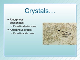 Crystals…
Amorphous
phosphates-
  Found in alkaline urine.
Amorphous urates-
  Found in acidic urine.
 