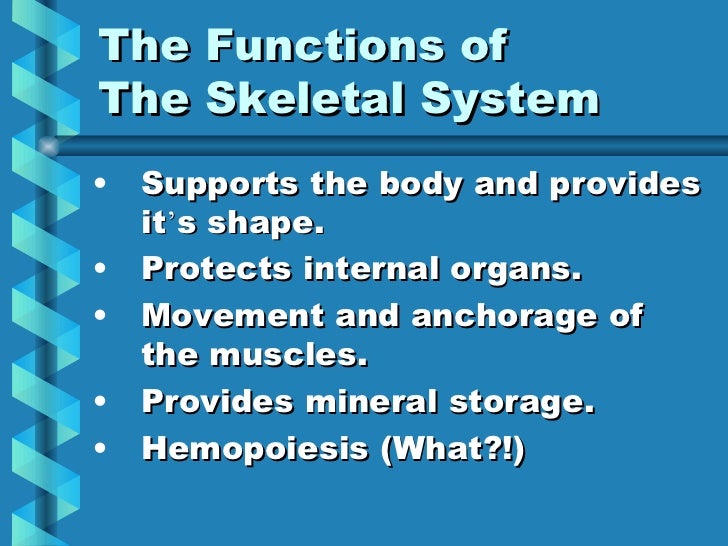 Lp 1 function structure skeletal