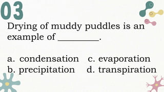 Drying of muddy puddles is an
example of _________.
a. condensation c. evaporation
b. precipitation d. transpiration
 