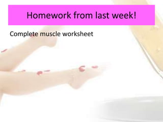 Homework from last week!
Complete muscle worksheet
 