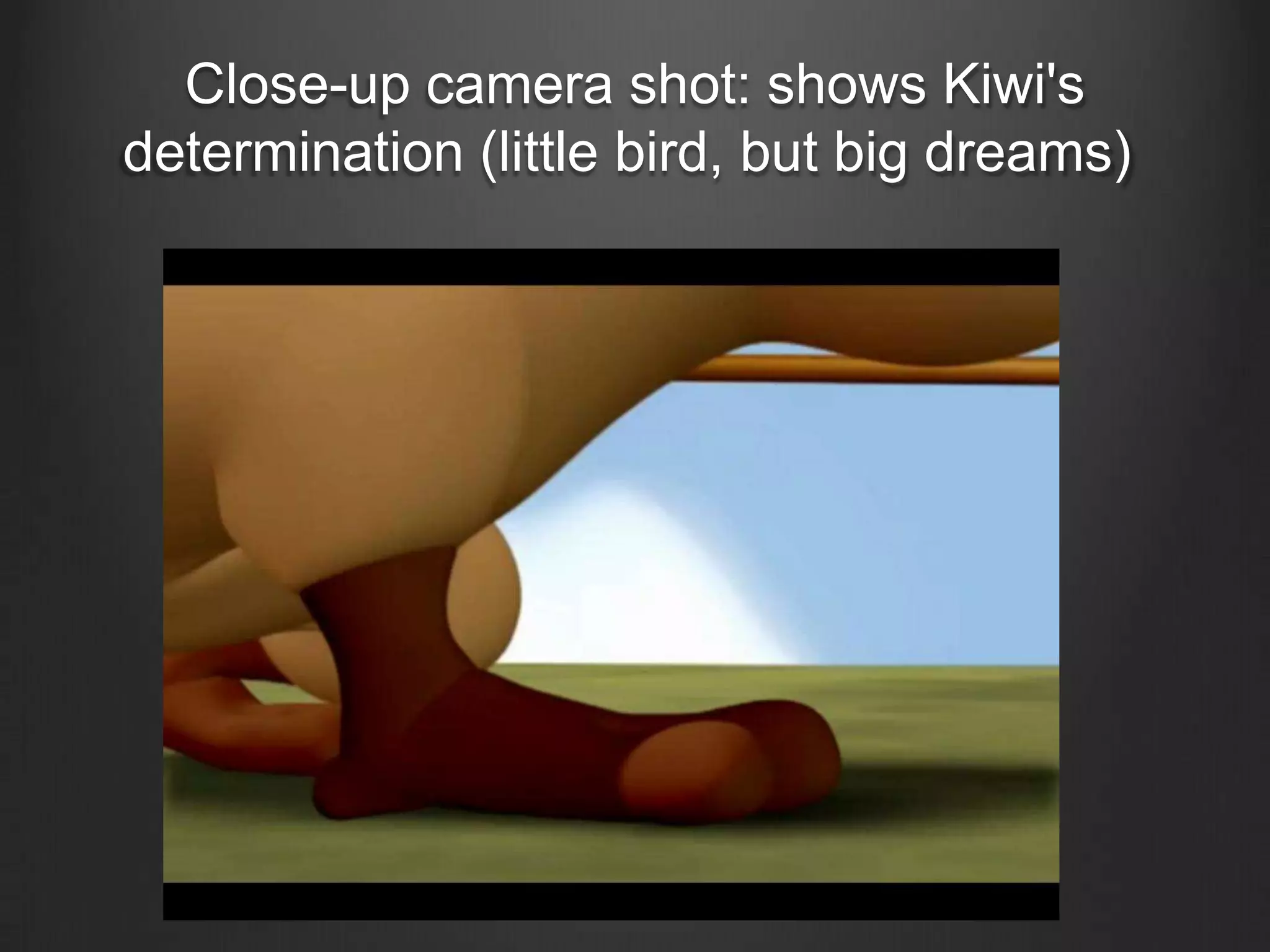 Close-up camera shot: shows Kiwi's
determination (little bird, but big dreams)
 