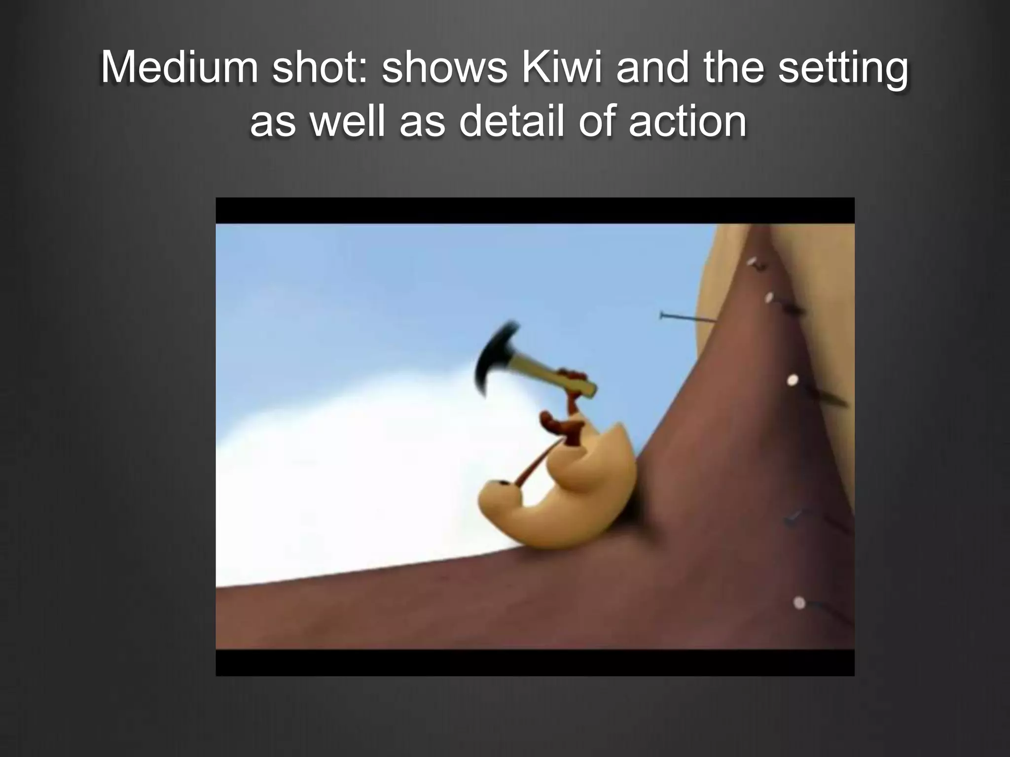 Medium shot: shows Kiwi and the setting
      as well as detail of action
 
