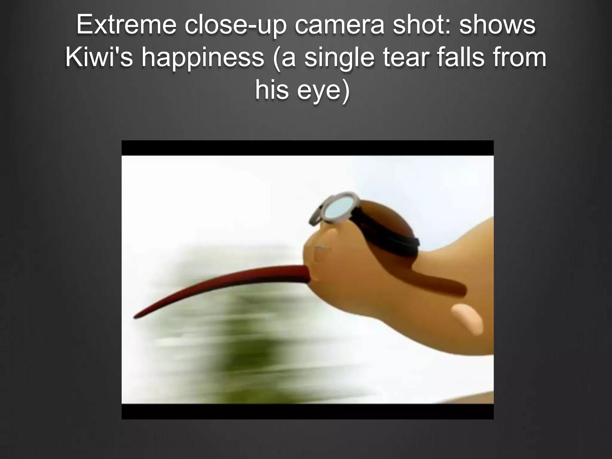 Extreme close-up camera shot: shows
Kiwi's happiness (a single tear falls from
               his eye)
 