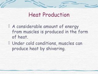 Heat Production
 A considerable amount of energy
  from muscles is produced in the form
  of heat.
 Under cold conditions, muscles can
  produce heat by shivering.
 