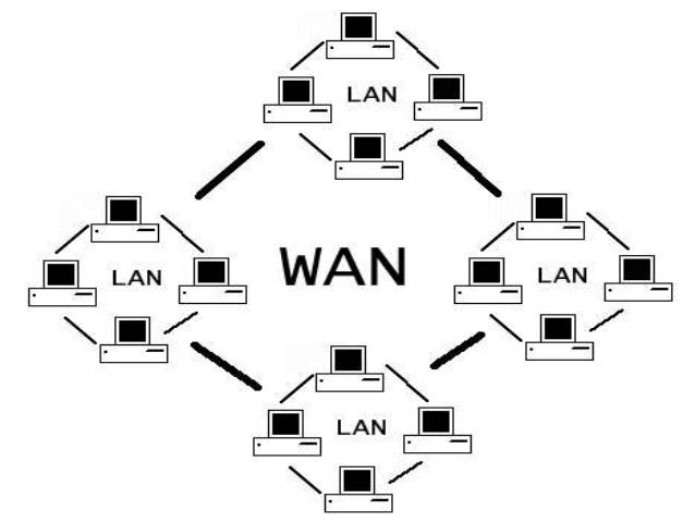 Network operating system