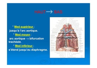 HAUTHAUT→→→→→→→→ BASBAS
** Med supérieurMed supérieur ::
jusqu’à l’arc aortique.jusqu’à l’arc aortique.
** Med moyenMed moyen ::** Med moyenMed moyen ::
arc aortiquearc aortique →→→→→→→→ bifurcationbifurcation
trachéaletrachéale..
** Med inférieurMed inférieur ::
s’étend jusqu’au diaphragme.s’étend jusqu’au diaphragme.
 