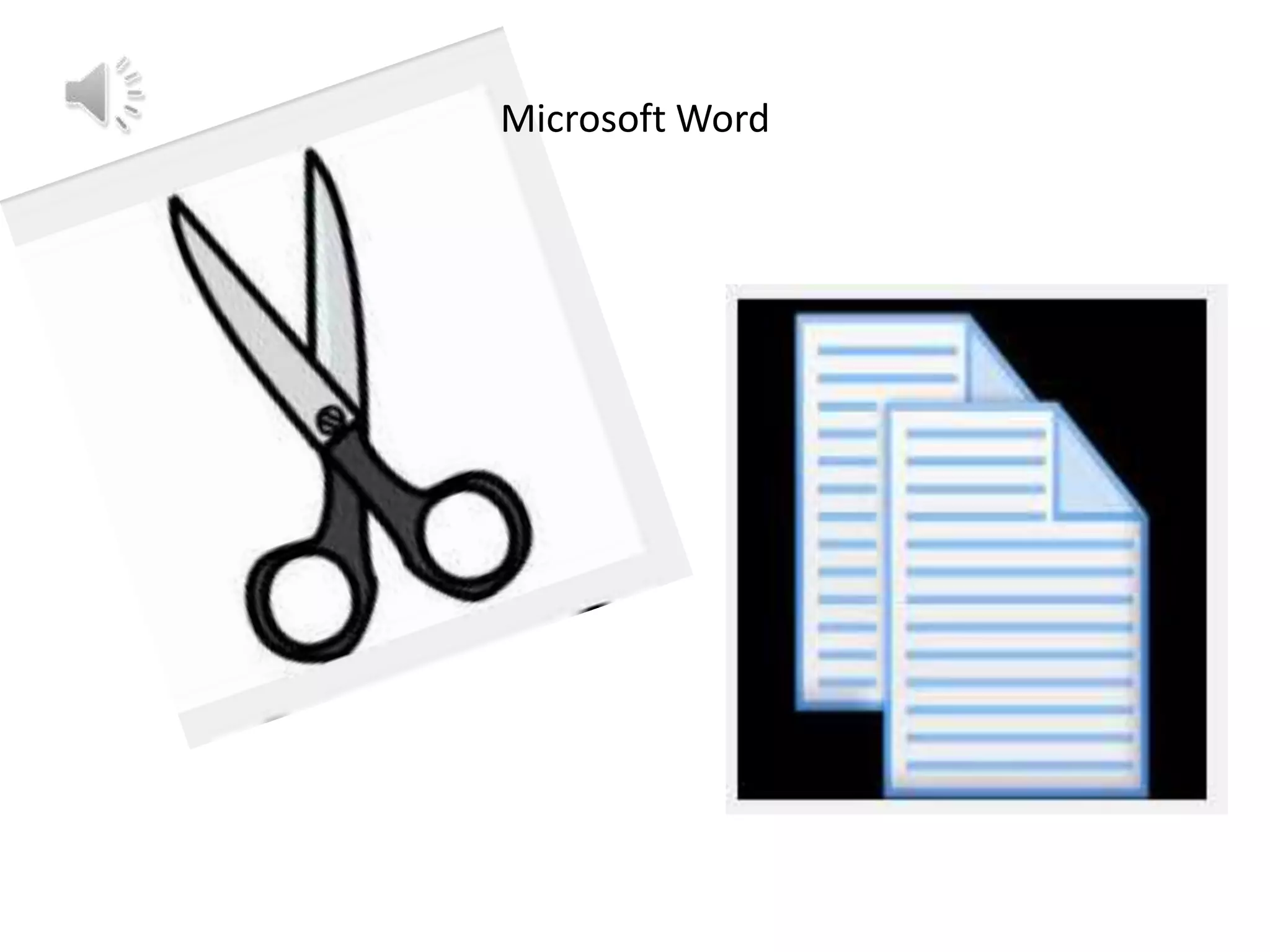Microsoft Word

 