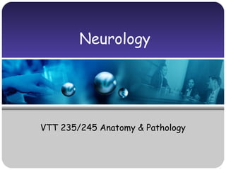 Neurology




VTT 235/245 Anatomy & Pathology
 