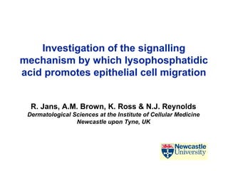 Investigation of the signalling
mechanism by which lysophosphatidic
acid promotes epithelial cell migration


  R. Jans, A.M. Brown, K. Ross & N.J. Reynolds
 Dermatological Sciences at the Institute of Cellular Medicine
                 Newcastle upon Tyne, UK
 