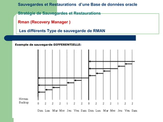Sauvegardes et Restaurations d’une Base de données oracle
Stratégie de Sauvegardes et Restaurations
Rman (Recovery Manager )
Les différents Type de sauvegarde de RMAN
 