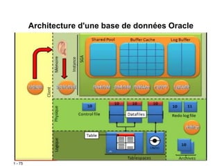 1 - 75
Architecture d'une base de données Oracle
 