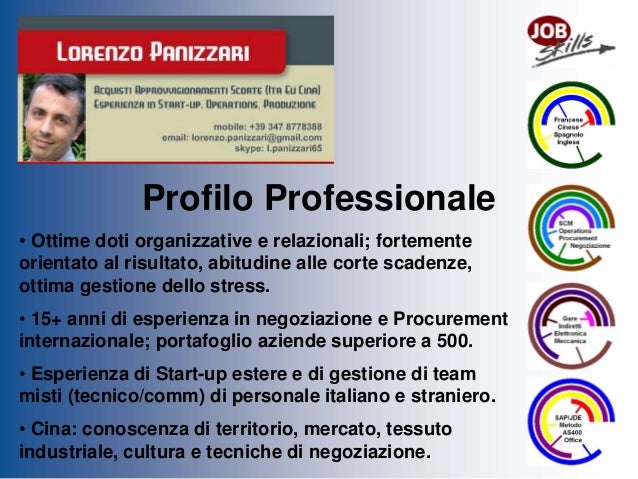 L Panizzari - Profilo Professionale