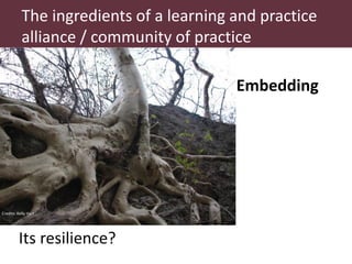 What are LPAs? What are CoPs? What matters to make them work?