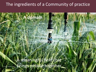 What are LPAs? What are CoPs? What matters to make them work?